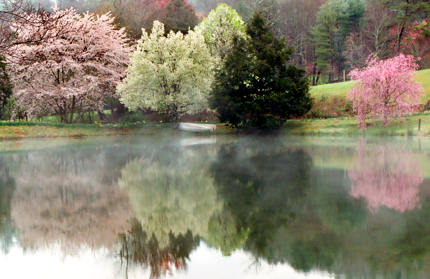 Pond-in-Springtime